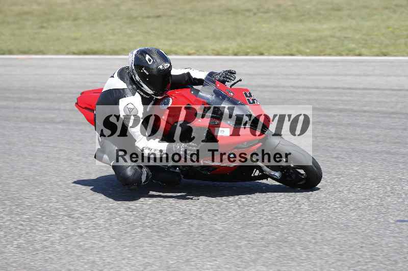/46 11.08.2025 PADDYS-RACES-DAYS ADR/Starter-Hobby/55